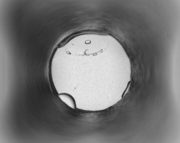 X0000093440100200711091501