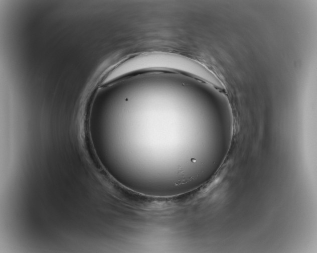 X0000093440101200711091501