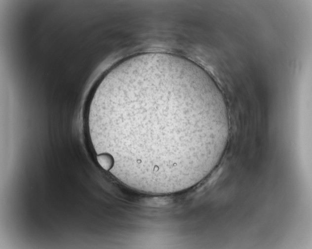 X0000093440102200711091501