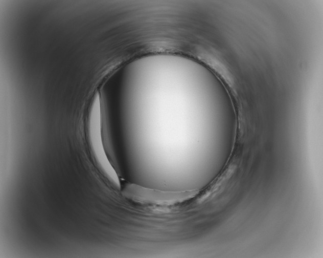 X0000093440105200711091501