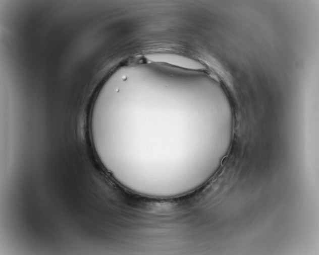 X0000093440107200711091501