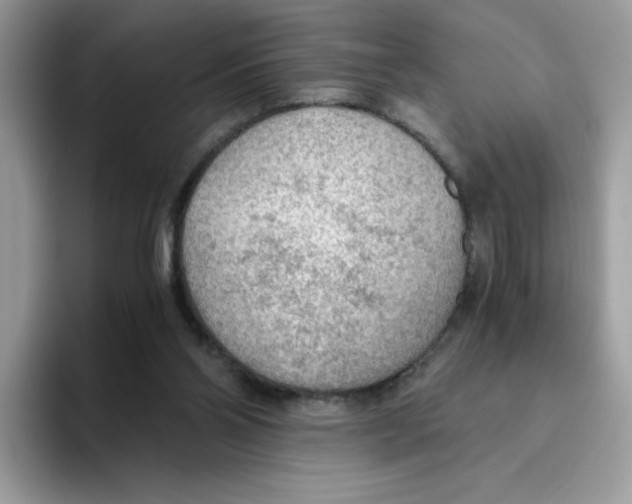 X0000093440110200711091501