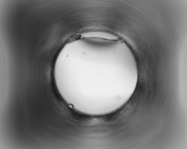 X0000093440111200711091501