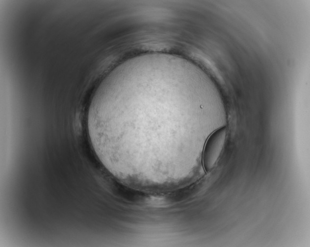 X0000093440114200711091501