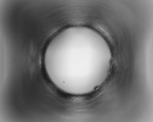 X0000093440115200711091501