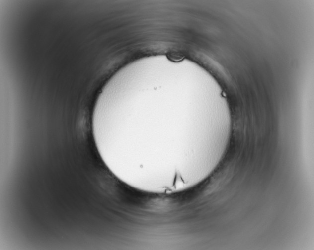 X0000093440119200711091501