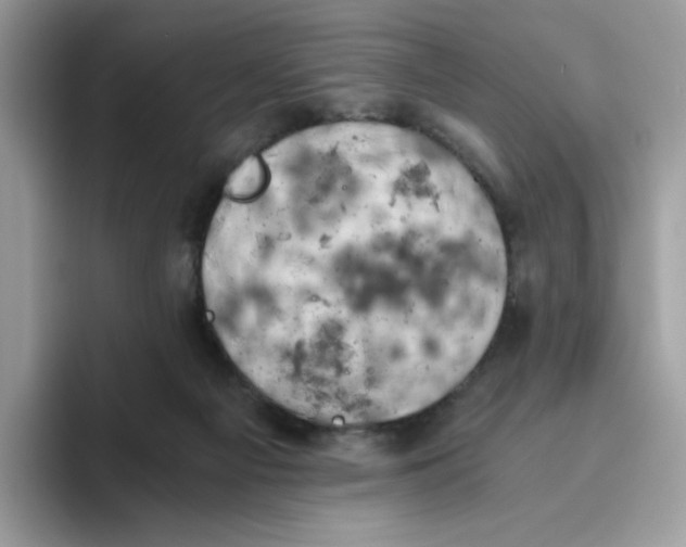 X0000093440121200711091501