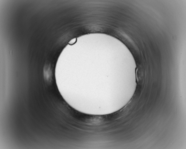 X0000093440124200711091501