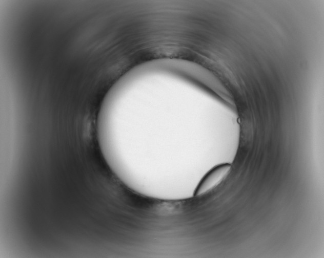 X0000093440126200711091501