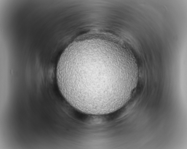 X0000093440127200711091501