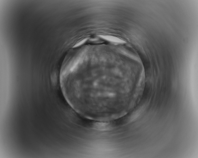 X0000093440139200711091501