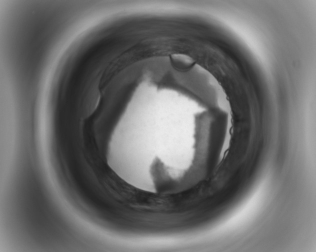 X0000093440143200711091501