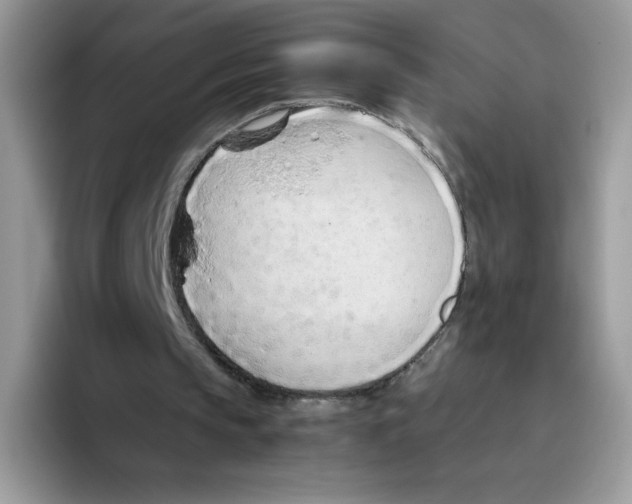 X0000093440145200711091500