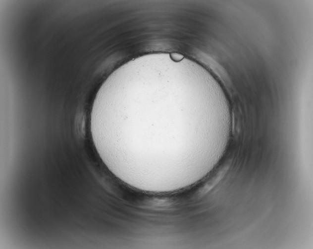 X0000093440157200711091500