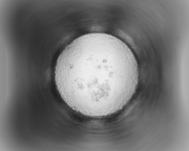 X0000093440161200711091500