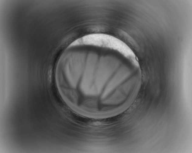 X0000093440163200711091500