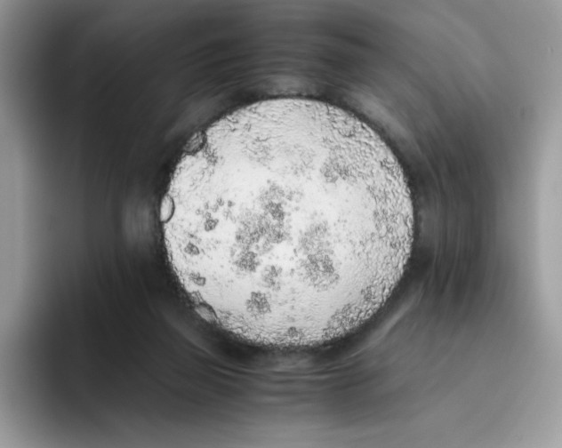 X0000093440165200711091500