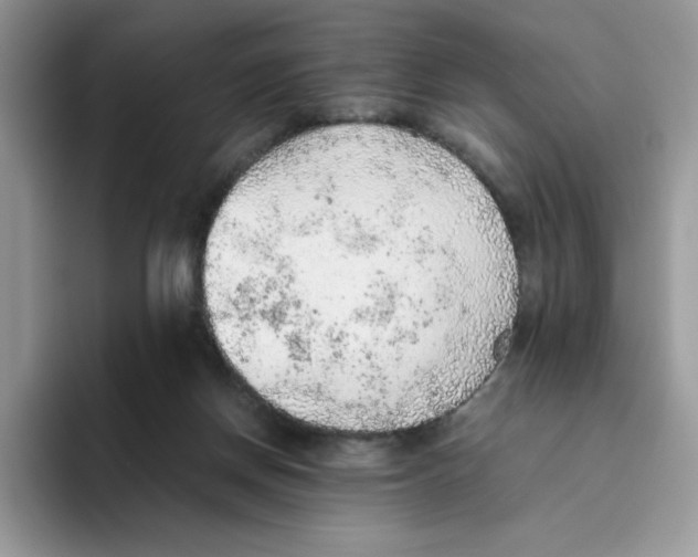 X0000093440166200711091500