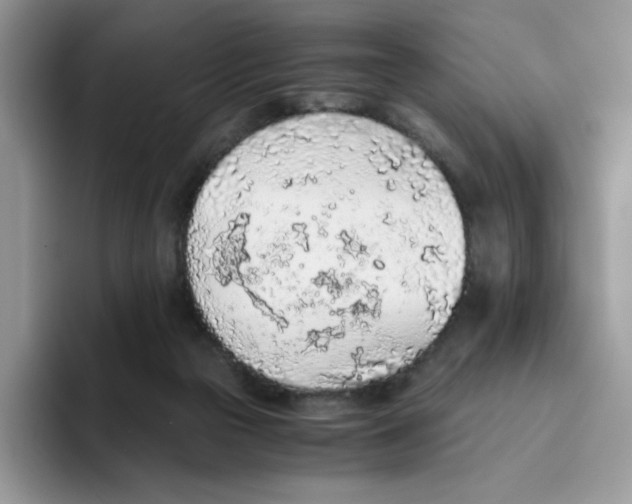 X0000093440169200711091500