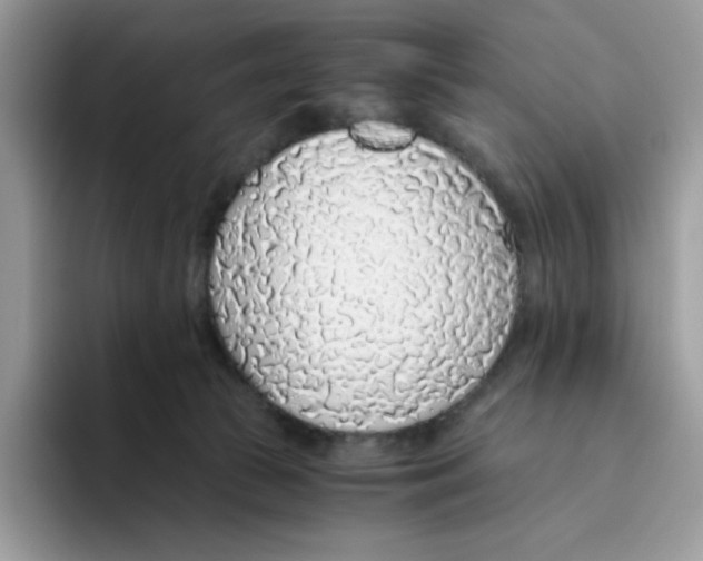 X0000093440177200711091501