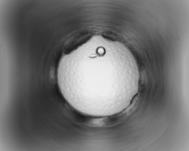 X0000093440178200711091501