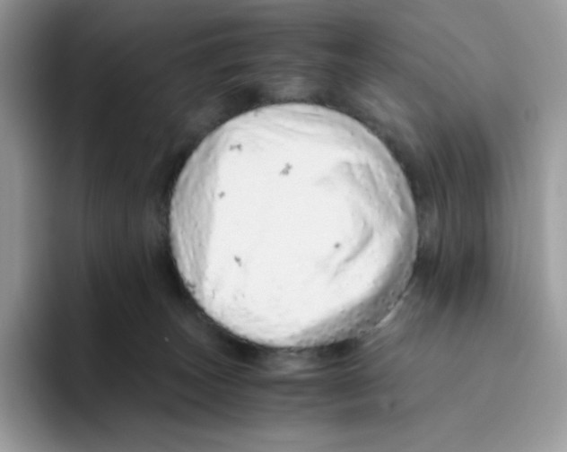 X0000093440179200711091501