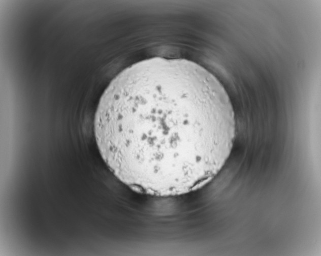 X0000093440189200711091501