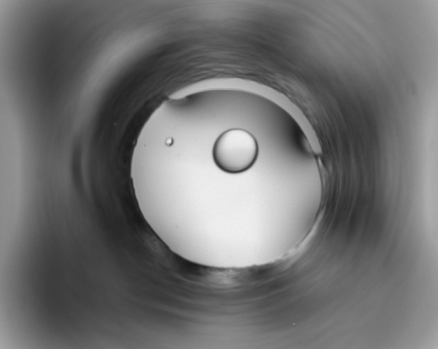 X0000093440190200711091501