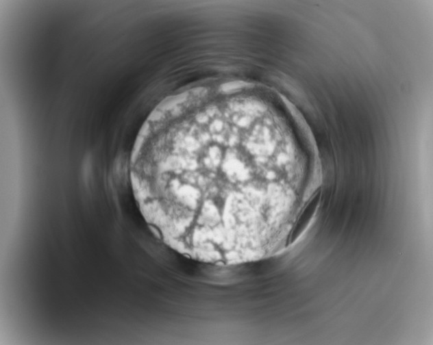 X0000093440191200711091501