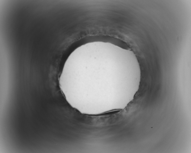 X0000093440192200711091501