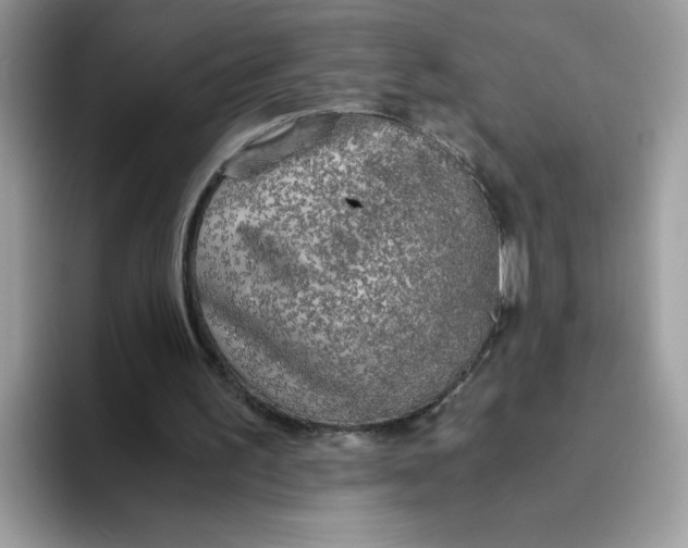 X0000093440195200711091500