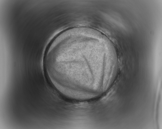 X0000093440196200711091500