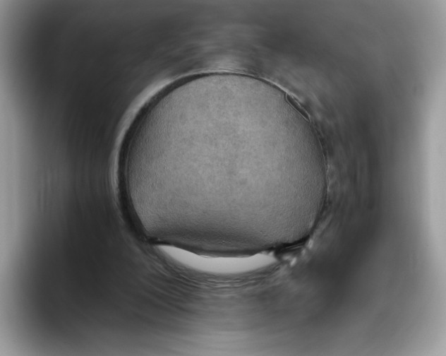 X0000093440200200711091500