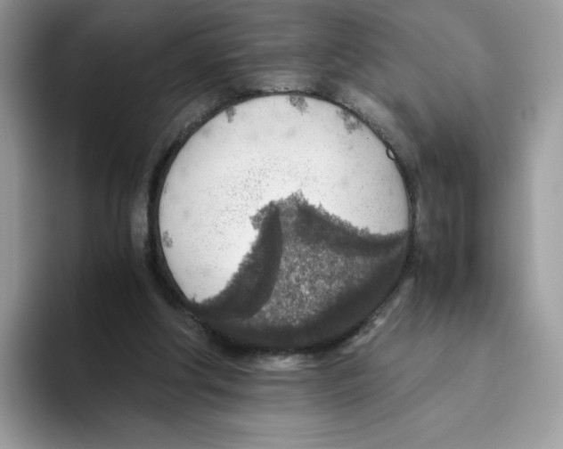 X0000093440202200711091500