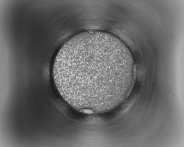 X0000093440207200711091500