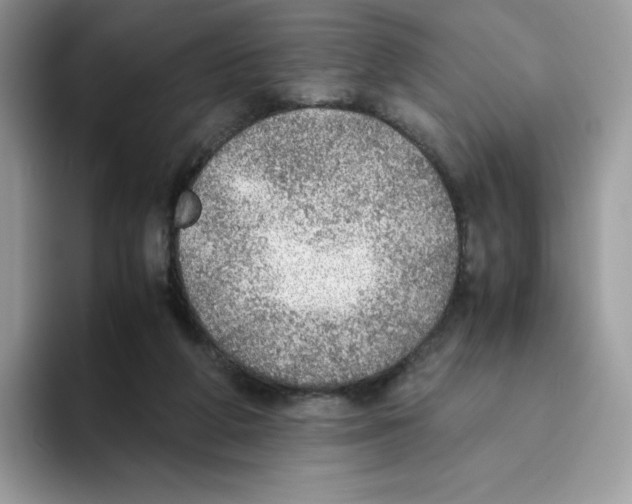 X0000093440210200711091500