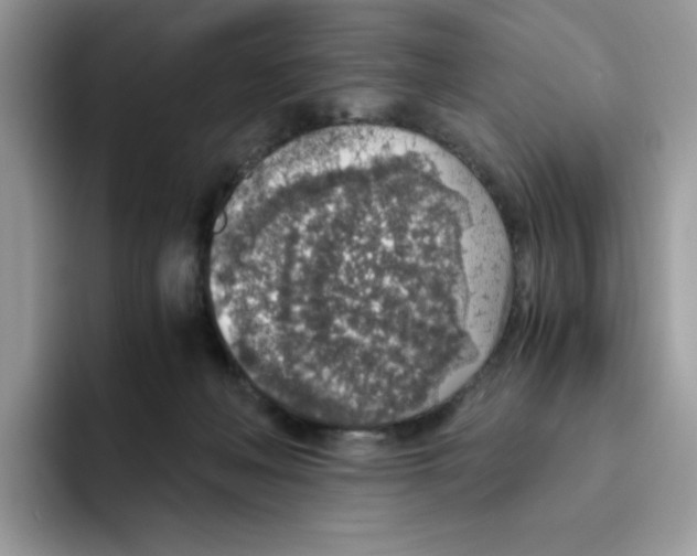 X0000093440222200711091500