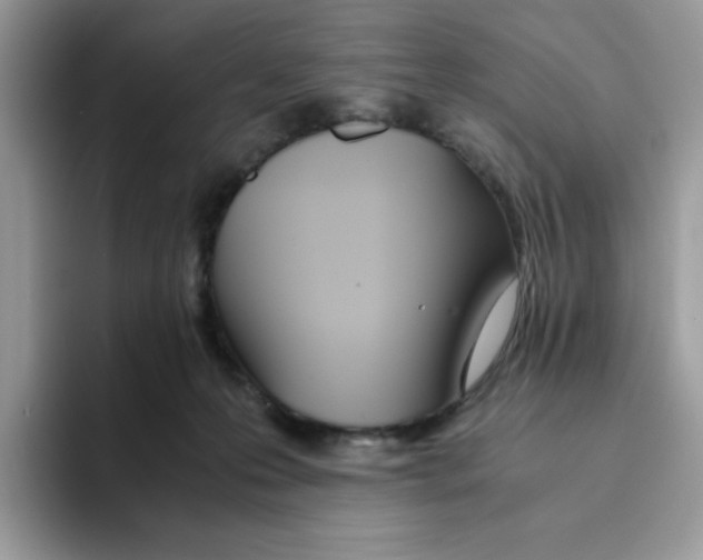 X0000093440223200711091500