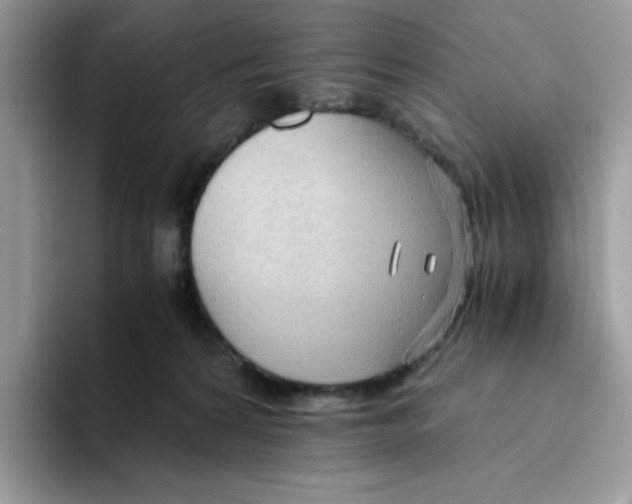 X0000093440224200711091500