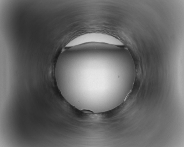 X0000093440233200711091500