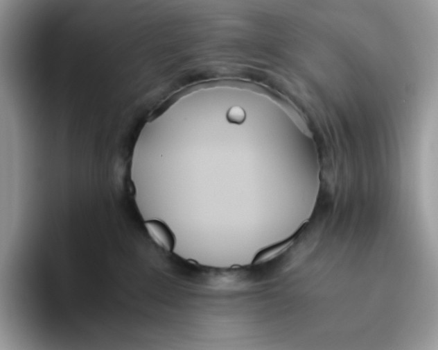 X0000093440235200711091500