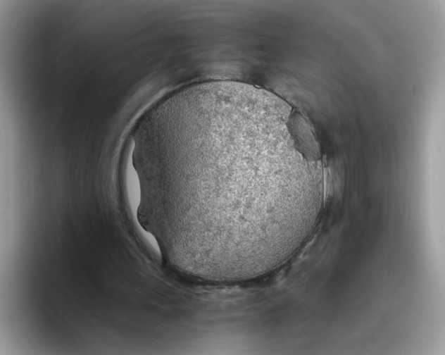 X0000093440243200711091459