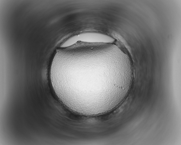 X0000093440249200711091459