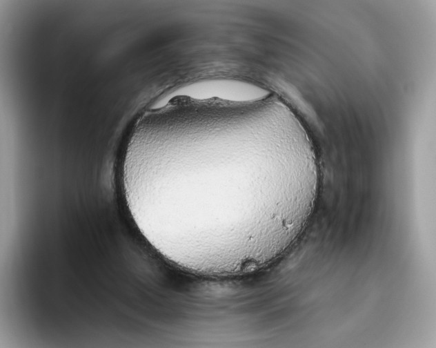 X0000093440250200711091459