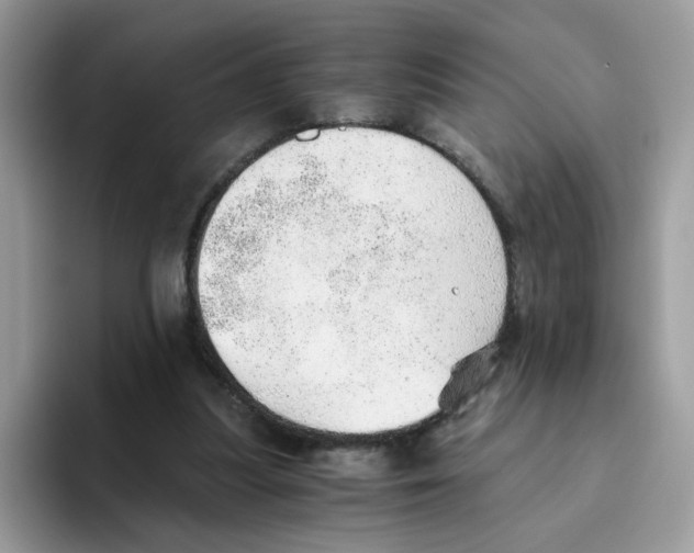 X0000093440251200711091459