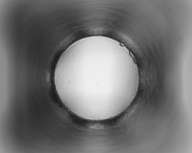 X0000093440258200711091459