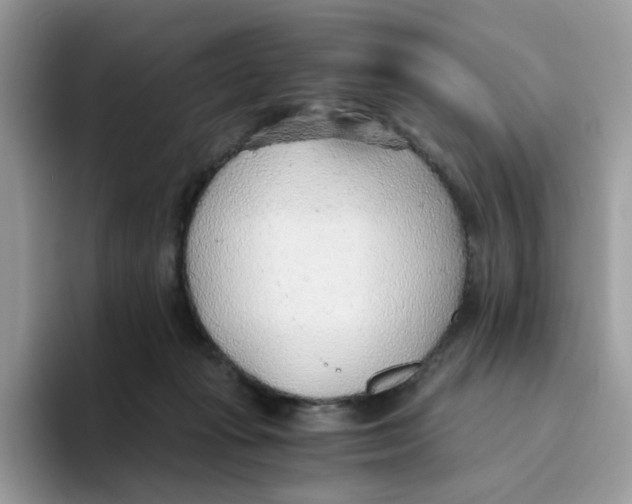 X0000093440269200711091459