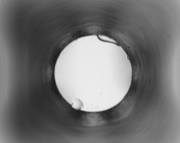 X0000093440279200711091459