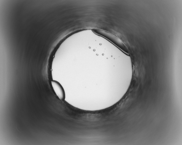 X0000093440292200711091459