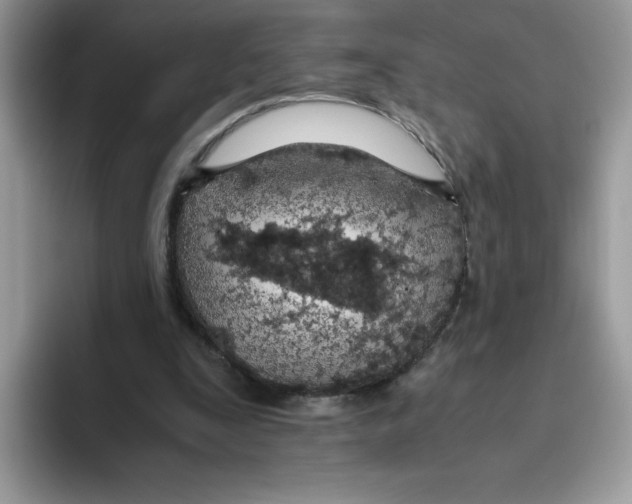 X0000093440295200711091459